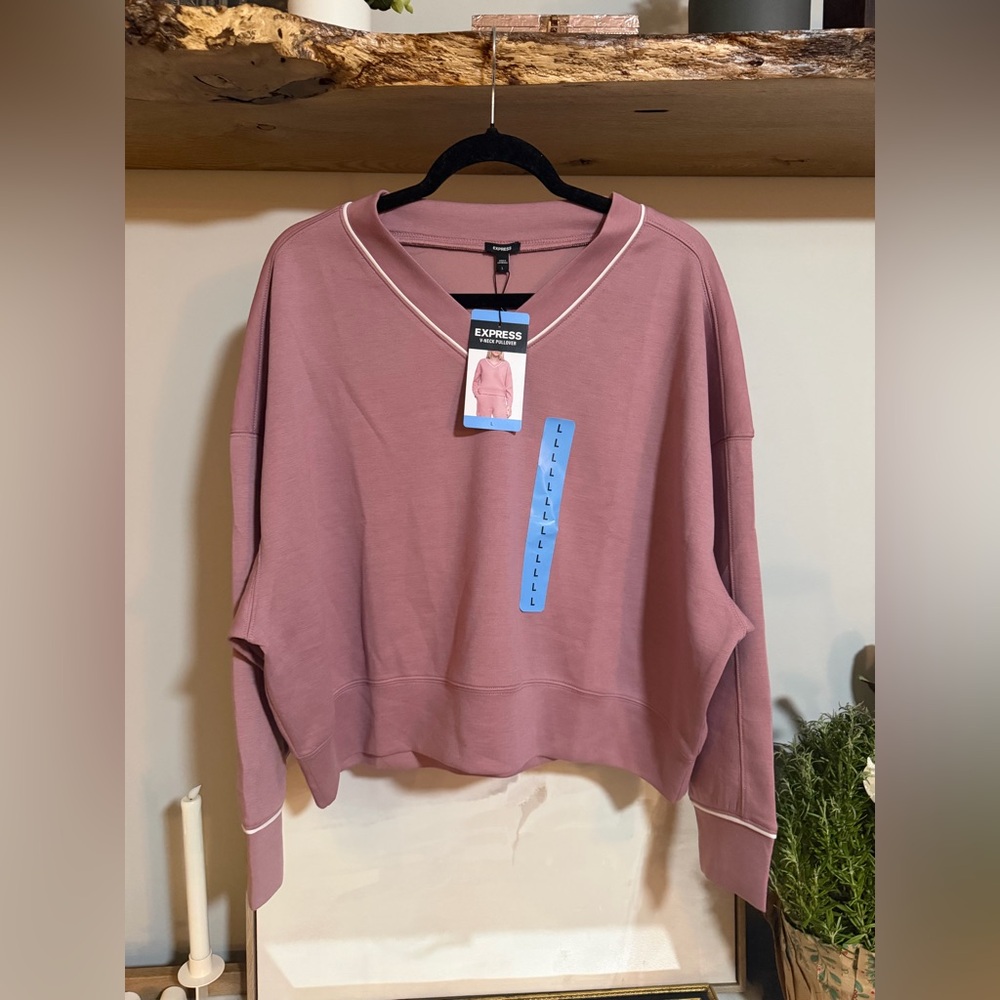 NWT Express Dusty Pink V-Neck Sweater